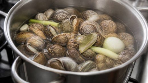Combien de temps cuire les escargots au court bouillon ?