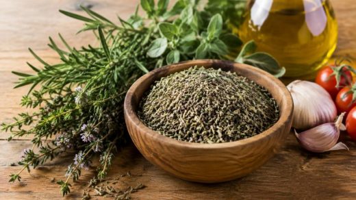 Herbe de Provence : composition, ingrédients et usages culinaires